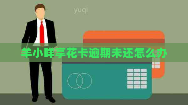羊小咩享花卡逾期未还怎么办