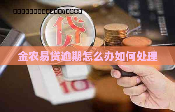 金农易贷逾期怎么办如何处理