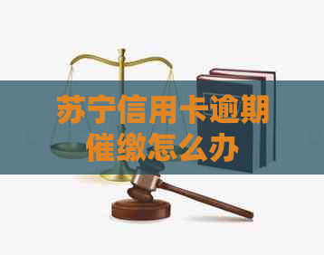 苏宁信用卡逾期催缴怎么办