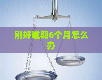 刚好逾期6个月怎么办