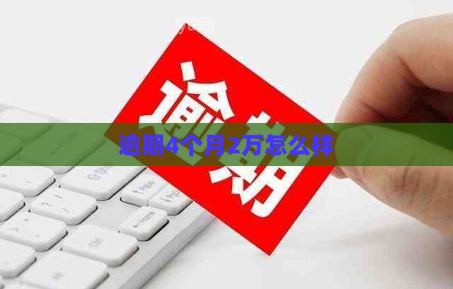 逾期4个月2万怎么样