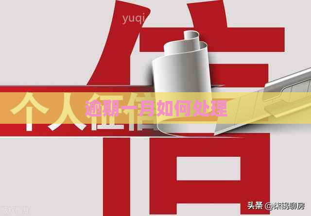 逾期一月如何处理