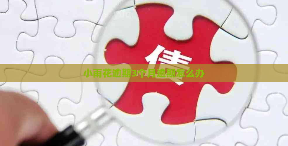 小雨花逾期3个月逾期怎么办