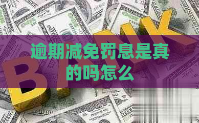 逾期减免罚息是真的吗怎么