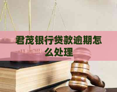 君茂银行贷款逾期怎么处理