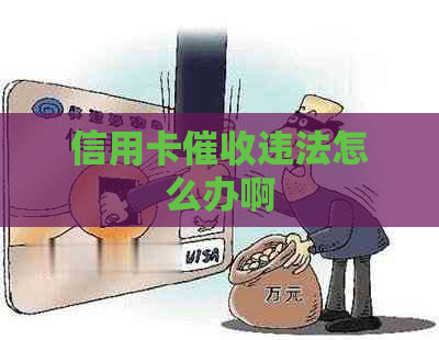 信用卡违法怎么办啊