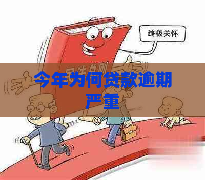今年为何贷款逾期严重