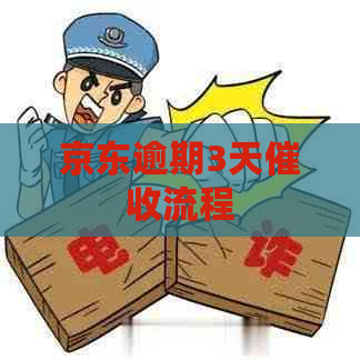 京东逾期3天流程
