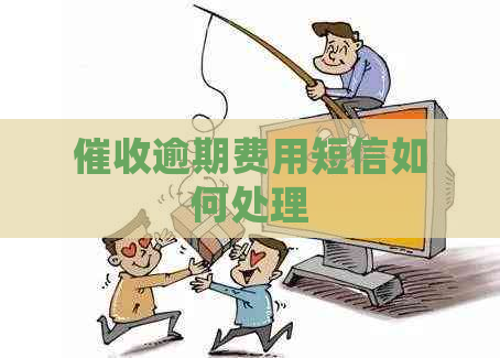 逾期费用短信如何处理