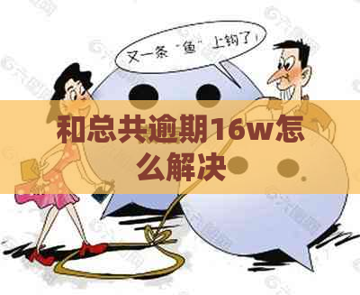 和总共逾期16w怎么解决