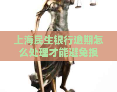 上海民生银行逾期怎么处理才能避免损失