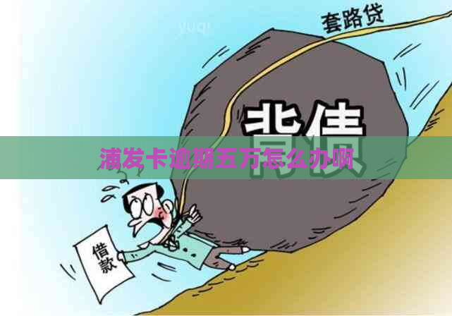 浦发卡逾期五万怎么办啊
