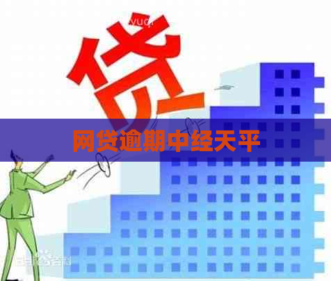 网贷逾期中经天平