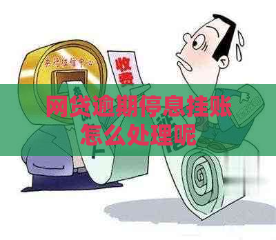 网贷逾期停息挂账怎么处理呢