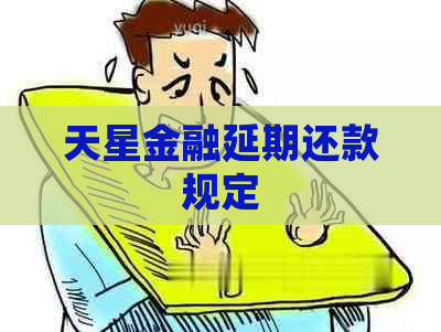 天星金融延期还款规定