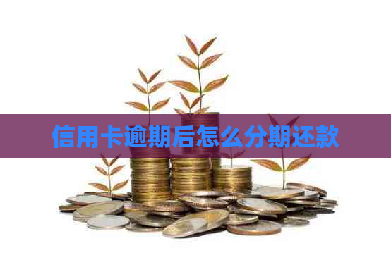 信用卡逾期后怎么分期还款