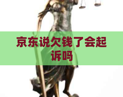 京东说欠钱了会起诉吗