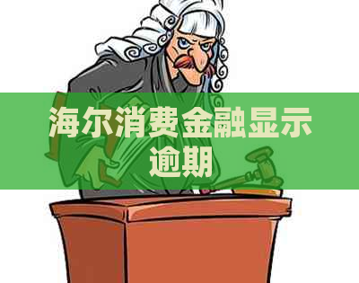 海尔消费金融显示逾期