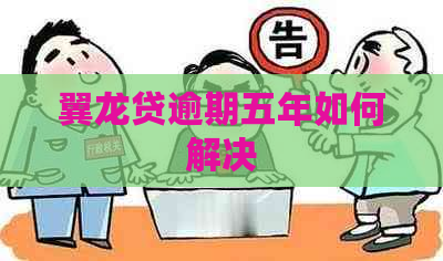 翼龙贷逾期五年如何解决
