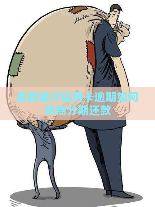 招商银行信用卡逾期如何协商分期还款