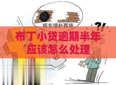 布丁小贷逾期半年应该怎么处理