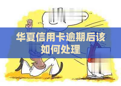 华夏信用卡逾期后该如何处理