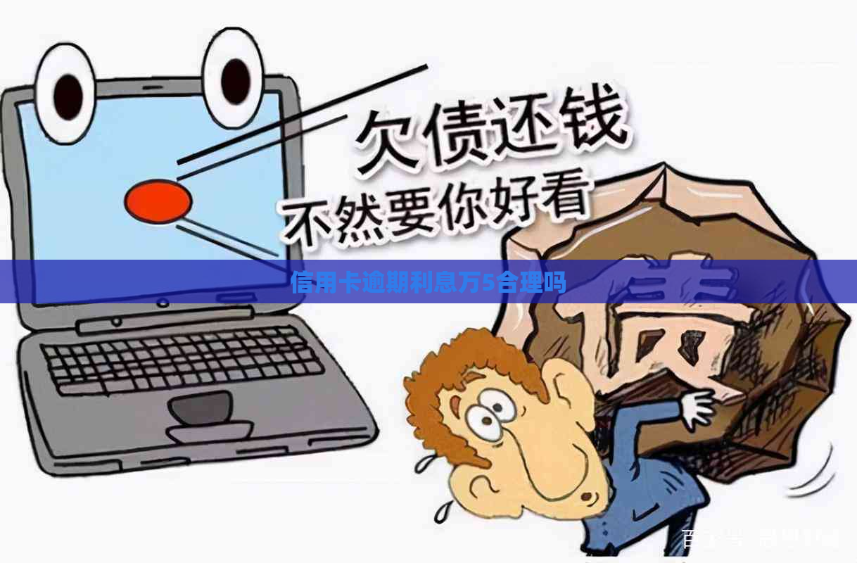 信用卡逾期利息万5合理吗