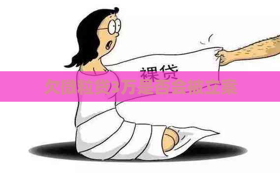 欠微粒贷3万是否会被立案
