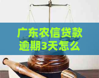 广东农信贷款逾期3天怎么办