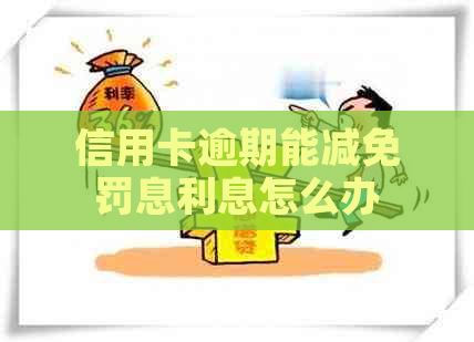 信用卡逾期能减免罚息利息怎么办