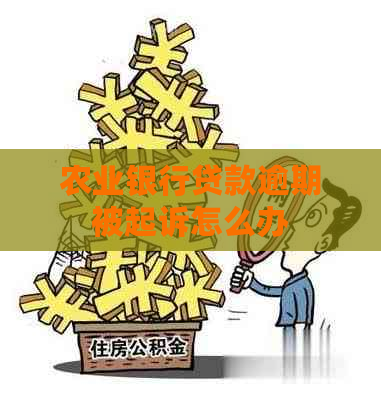 农业银行贷款逾期被起诉怎么办
