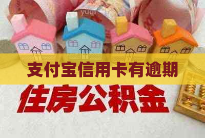 支付宝信用卡有逾期