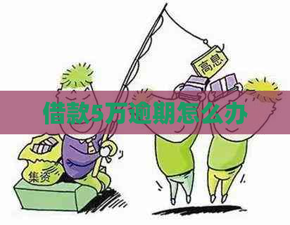 借款5万逾期怎么办