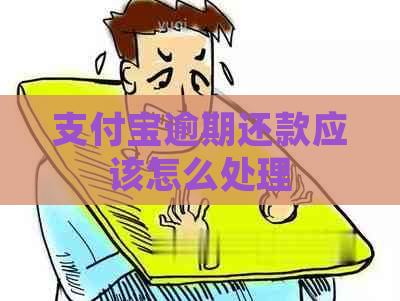 支付宝逾期还款应该怎么处理