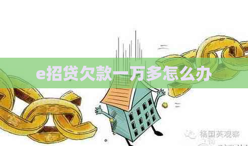 e招贷欠款一万多怎么办