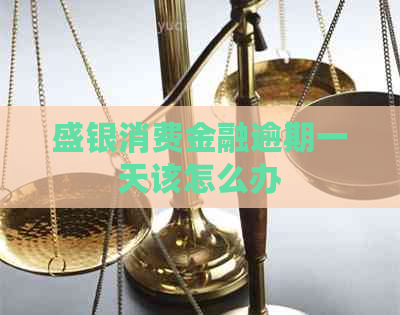 盛银消费金融逾期一天该怎么办