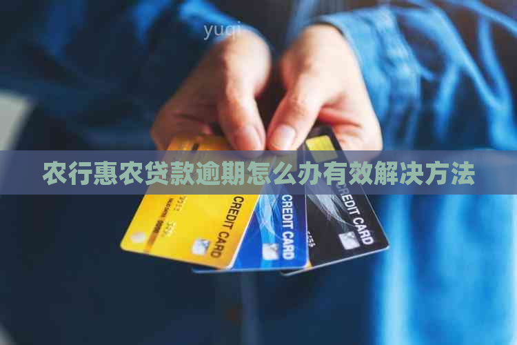 农行惠农贷款逾期怎么办有效解决方法