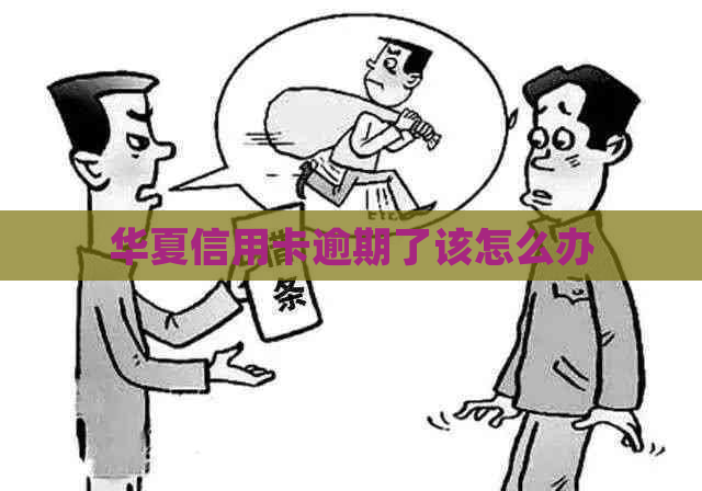 华夏信用卡逾期了该怎么办