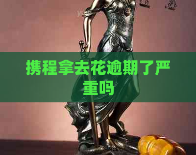 携程拿去花逾期了严重吗