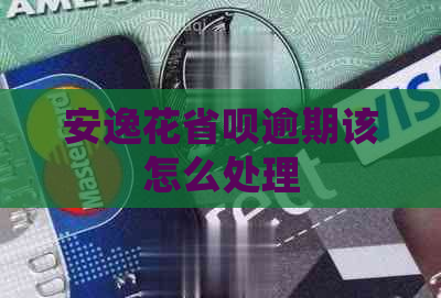 安逸花省呗逾期该怎么处理