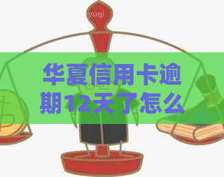 华夏信用卡逾期12天了怎么办