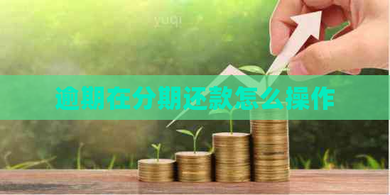 逾期在分期还款怎么操作