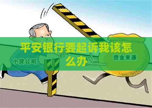 平安银行要起诉我该怎么办