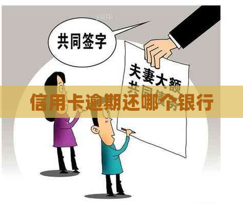 信用卡逾期还哪个银行