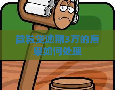 微粒贷逾期3万的后果如何处理