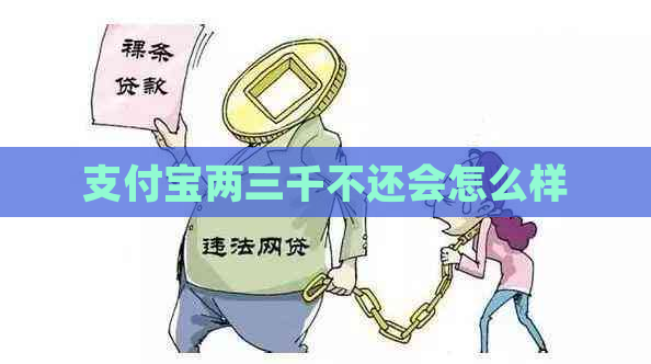 支付宝两三千不还会怎么样