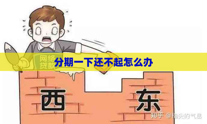分期一下还不起怎么办