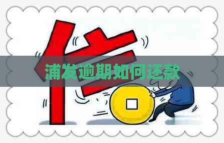 浦发逾期如何还款