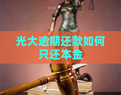 光大逾期还款如何只还本金
