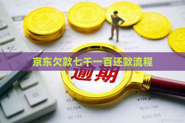 京东欠款七千一百还款流程